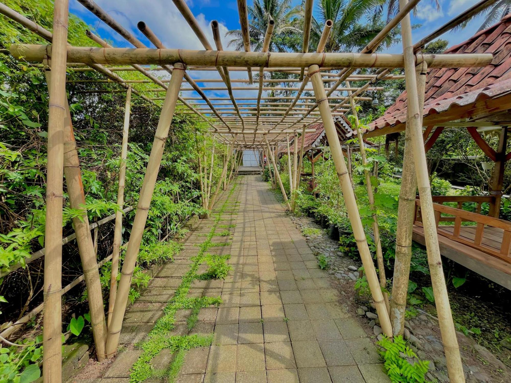 Pondok Isoke Bunggalow Banyuwangi  Exterior photo