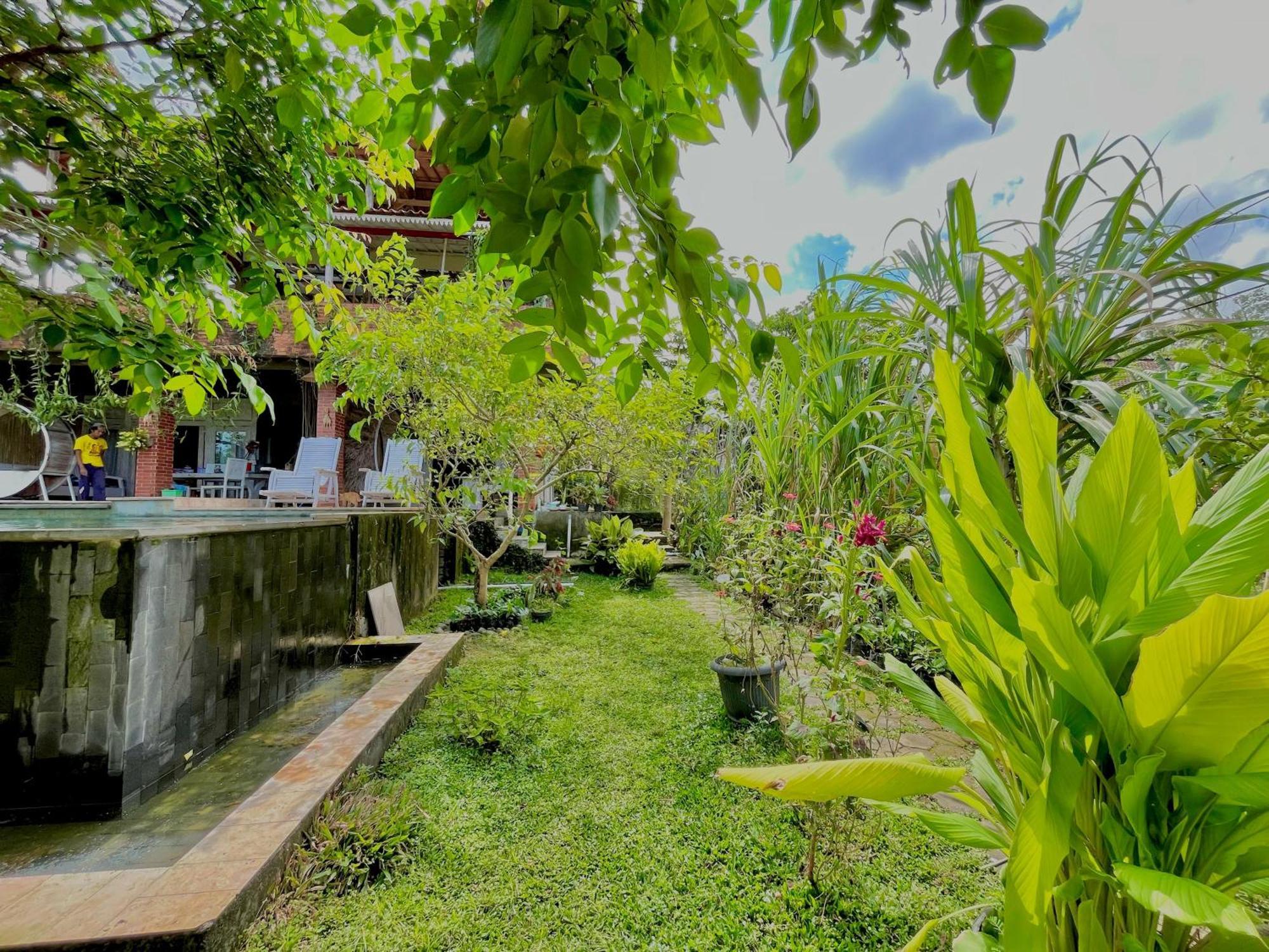 Pondok Isoke Bunggalow Banyuwangi  Exterior photo