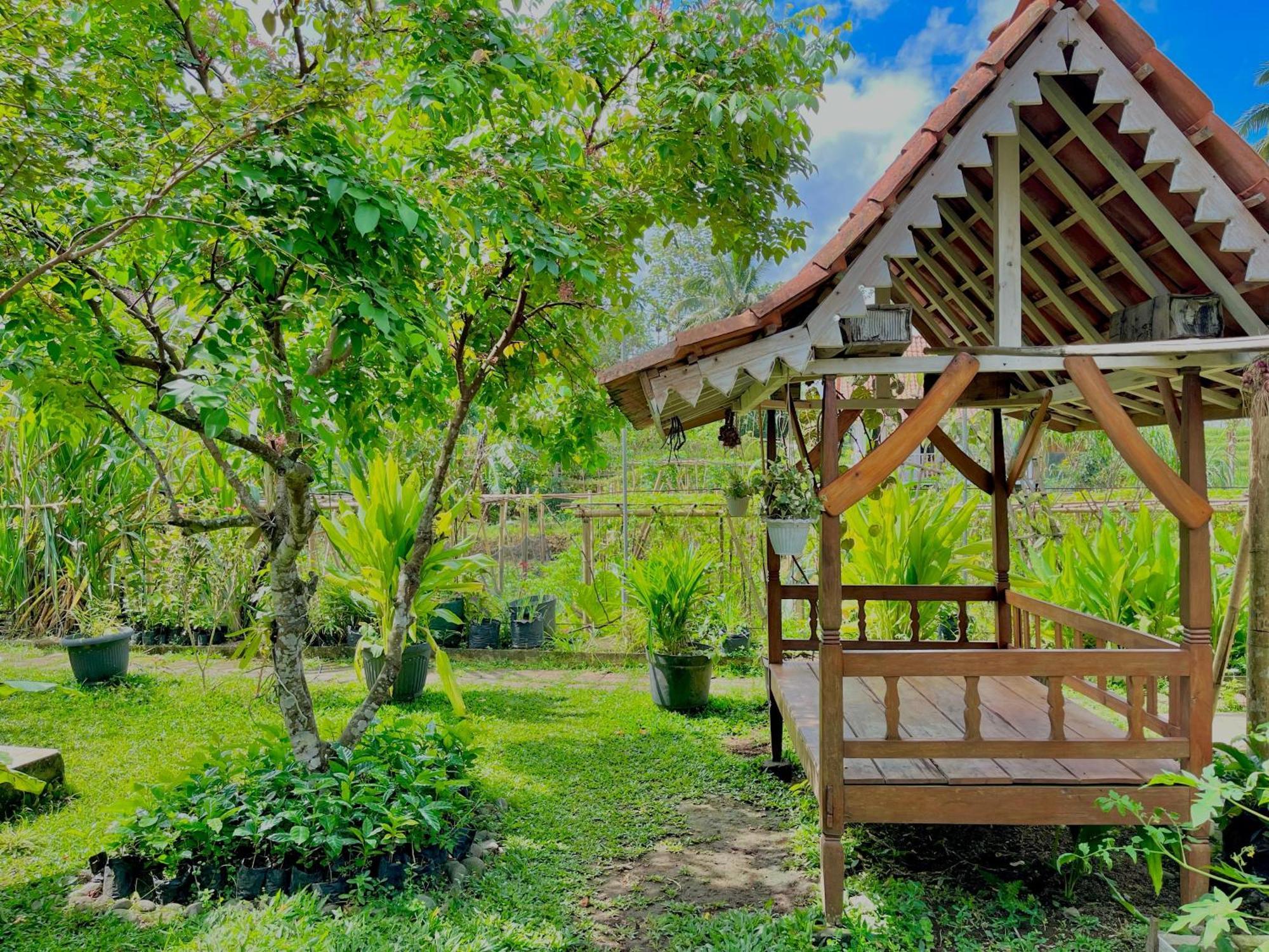 Pondok Isoke Bunggalow Banyuwangi  Exterior photo
